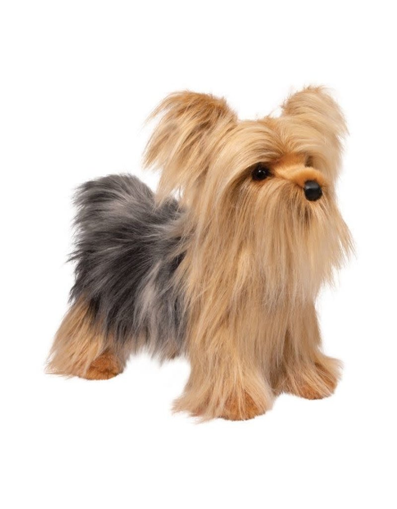 Brenton Yorkie - Who's Who in the Zoo