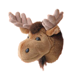 moose head
