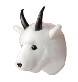 Mountain Goat Head Small