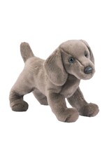 Douglas Cassie Weimaraner