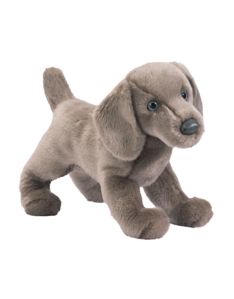 Douglas Cassie Weimaraner