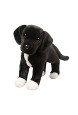 Twister Black Lab / Pit Mix