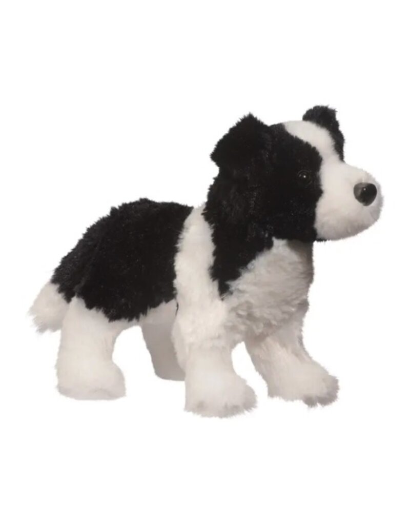 Douglas Meadow Border Collie