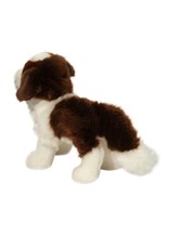 Douglas Brutus ST. BERNARD