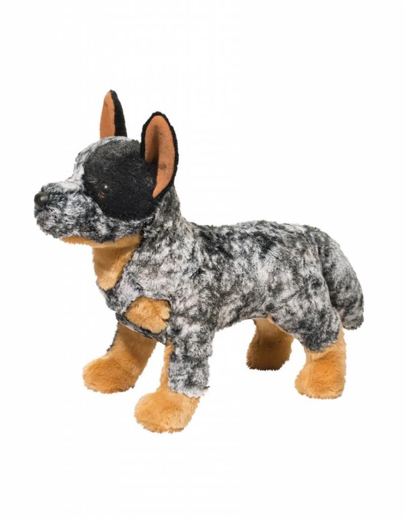 Douglas Bolt Australian Cattle Dog