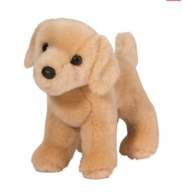 Douglas Zach Yellow Lab