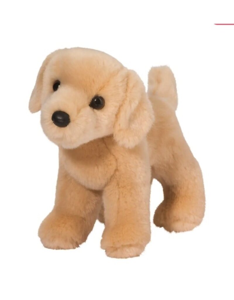 Douglas Zach Yellow Lab