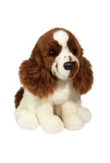 Douglas Chip Springer Spaniel