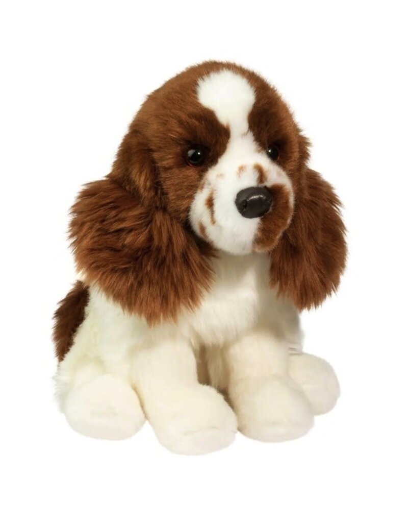 Douglas Chip Springer Spaniel