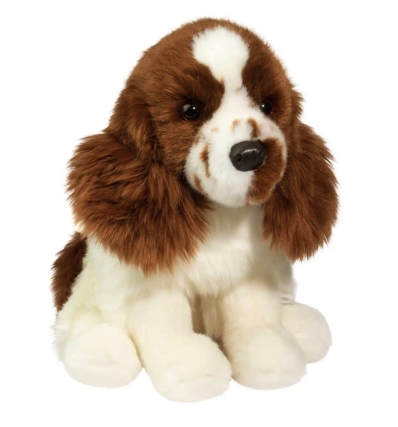 レノックス(スパニエル犬) Jewelled Springer Spaniels Chip Springer Spaniel - Who's Who in the Zoo
