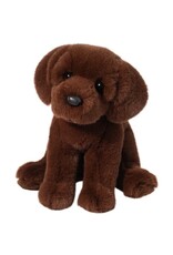 DOUGLAS Zoom CHOCOLATE LAB