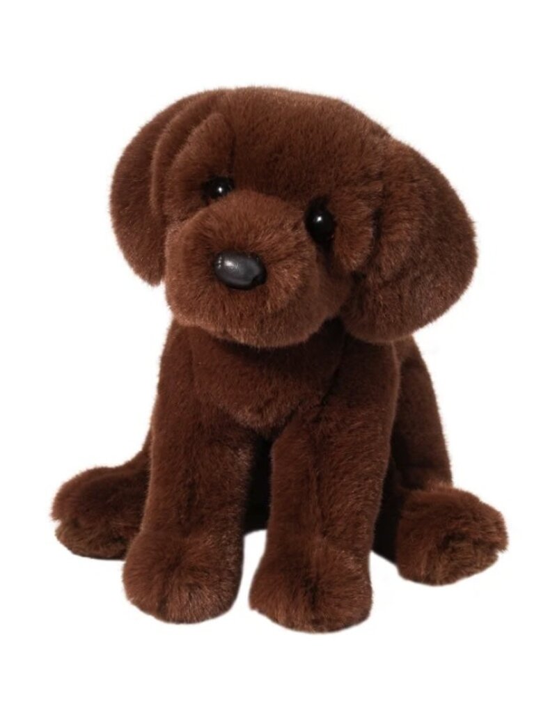DOUGLAS Zoom CHOCOLATE LAB