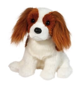 Douglas Kingsley King Charles Cavalier