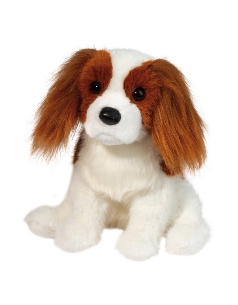 Douglas Kingsley King Charles Cavalier