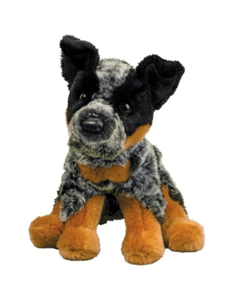 Dexter Floppy Australian Cattle Dog