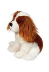 Douglas Kingsley King Charles Cavalier