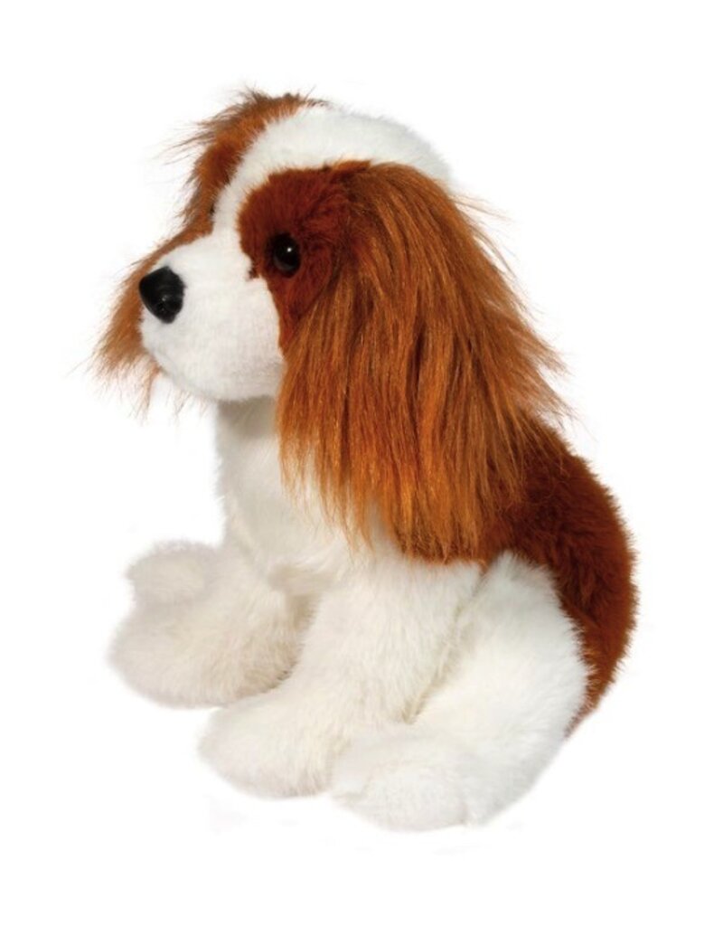 Douglas Kingsley King Charles Cavalier