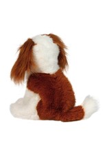 Douglas Kingsley King Charles Cavalier