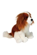 Douglas Kingsley King Charles Cavalier