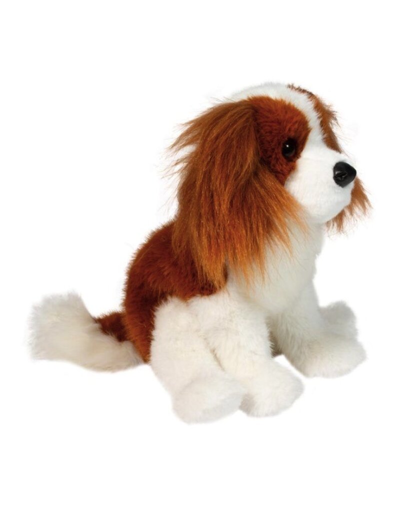 Douglas Kingsley King Charles Cavalier