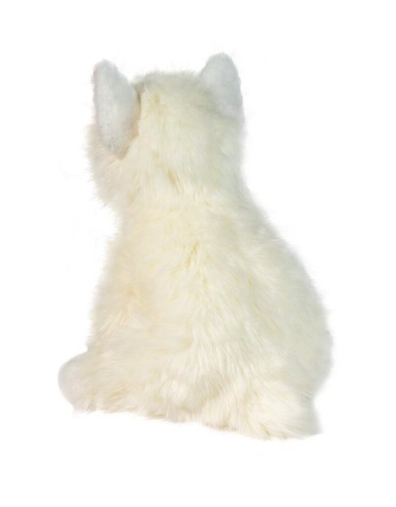 Douglas Walt Westie Puppy