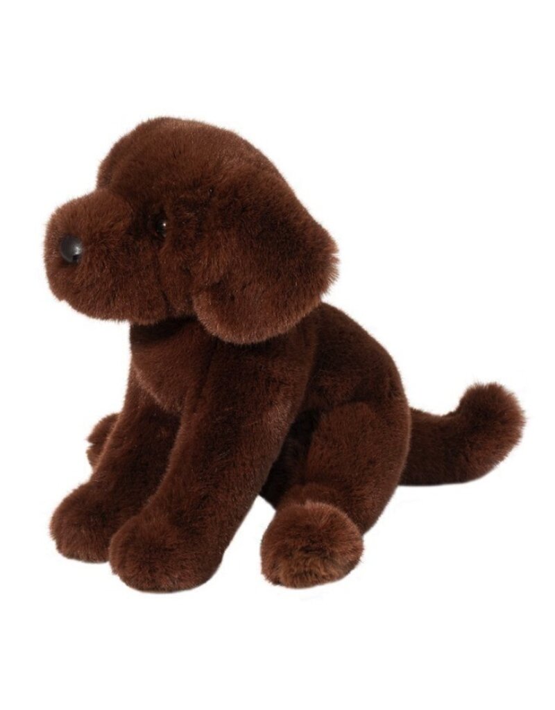 DOUGLAS Zoom CHOCOLATE LAB