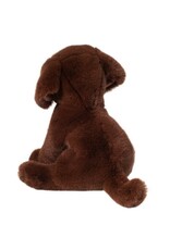 DOUGLAS Zoom CHOCOLATE LAB