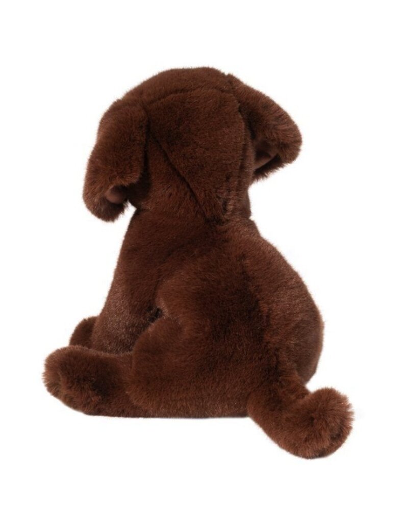 DOUGLAS Zoom CHOCOLATE LAB