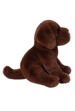 DOUGLAS Zoom CHOCOLATE LAB