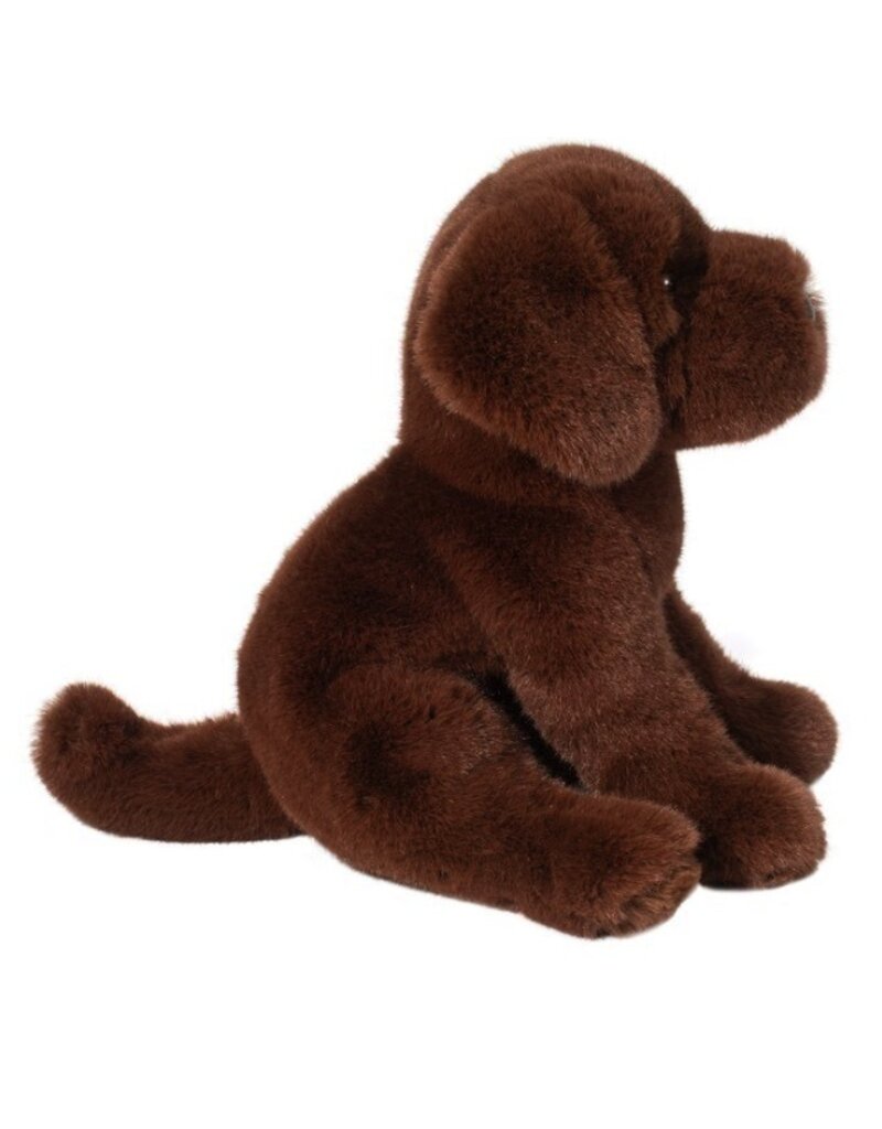 DOUGLAS Zoom CHOCOLATE LAB
