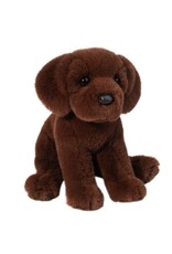 DOUGLAS Zoom CHOCOLATE LAB