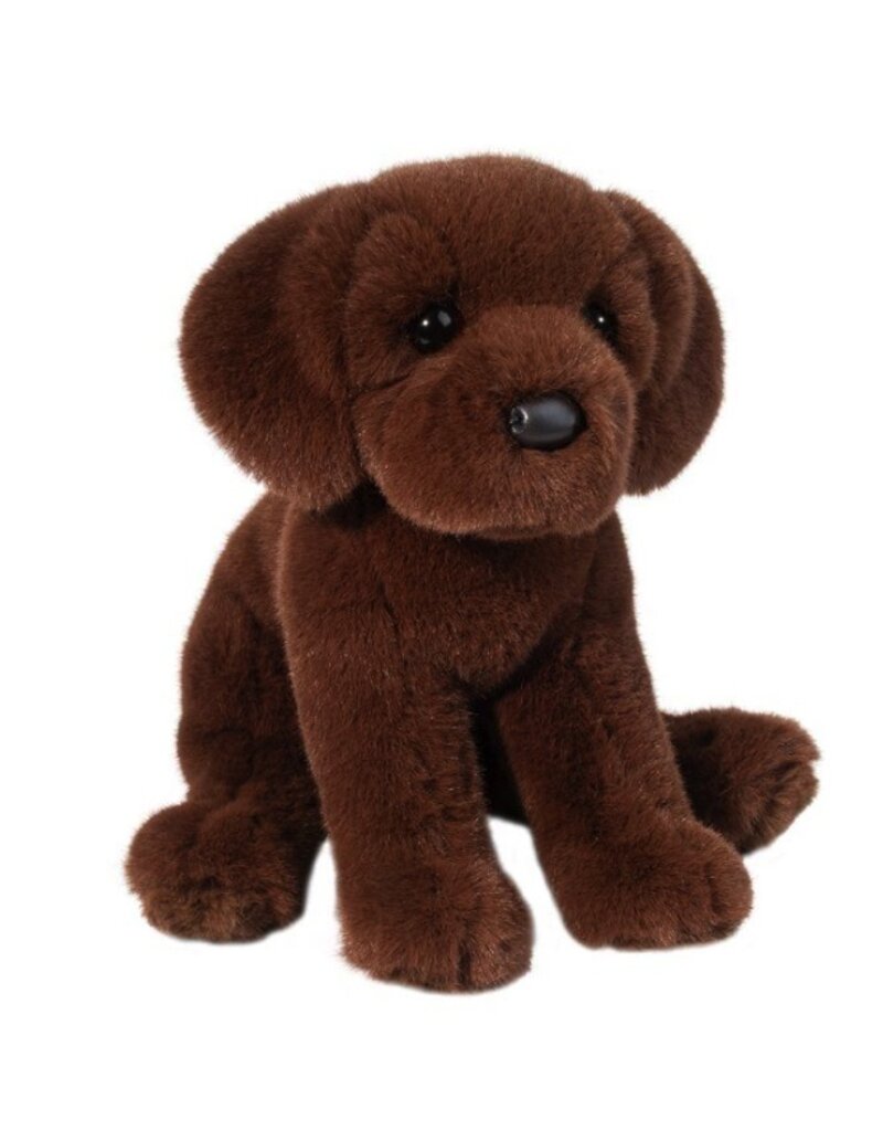 DOUGLAS Zoom CHOCOLATE LAB
