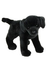 Douglas Chester Black Lab