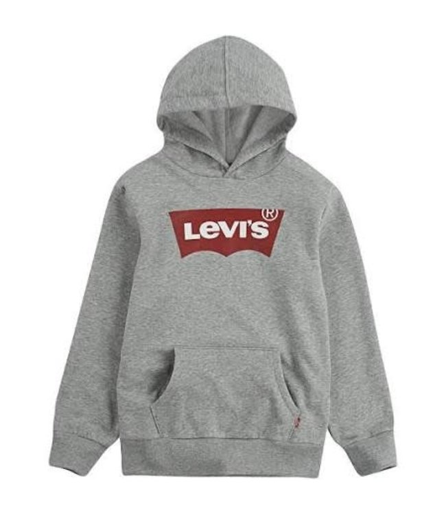 levi's youth logo hoodie