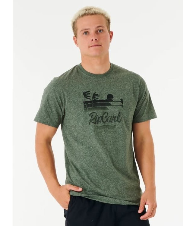 Rip Curl Men's Love a Palmy Tee