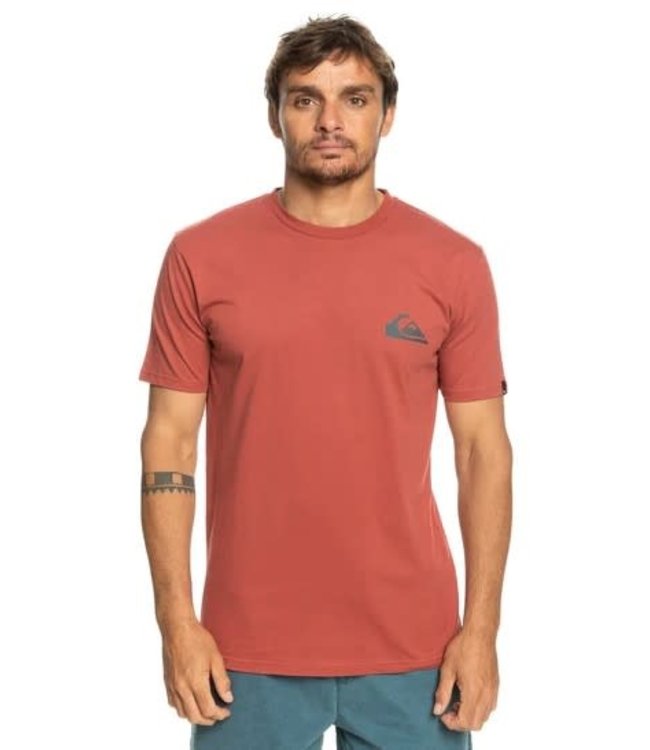 Quiksilver Mini Logo Tee