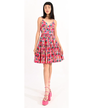 Molly Bracken Printed Fit & Flare Dress