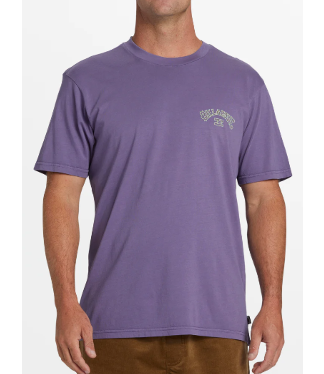 Billabong Men's Arch Wash Tee