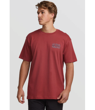 Billabong Billabong Men's Scenic Arch Adiv Tee