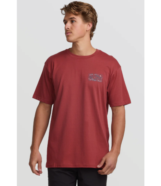 Billabong Men's Scenic Arch Adiv Tee