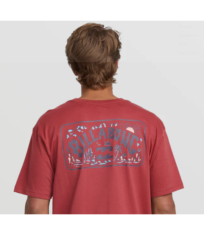 Billabong Men's Scenic Arch Adiv Tee