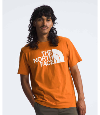 North Face North Face Men's Evo Half Dome Tee
