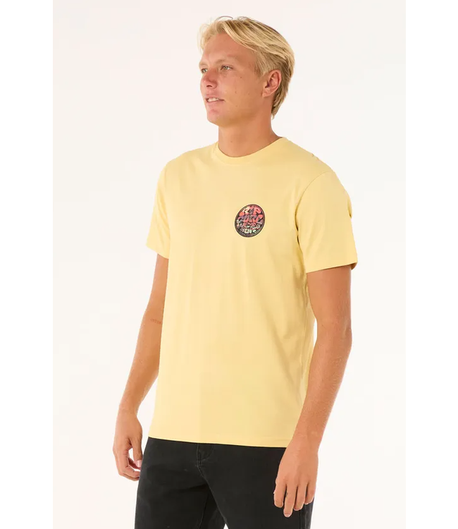 Rip Curl Men's Passage Tee