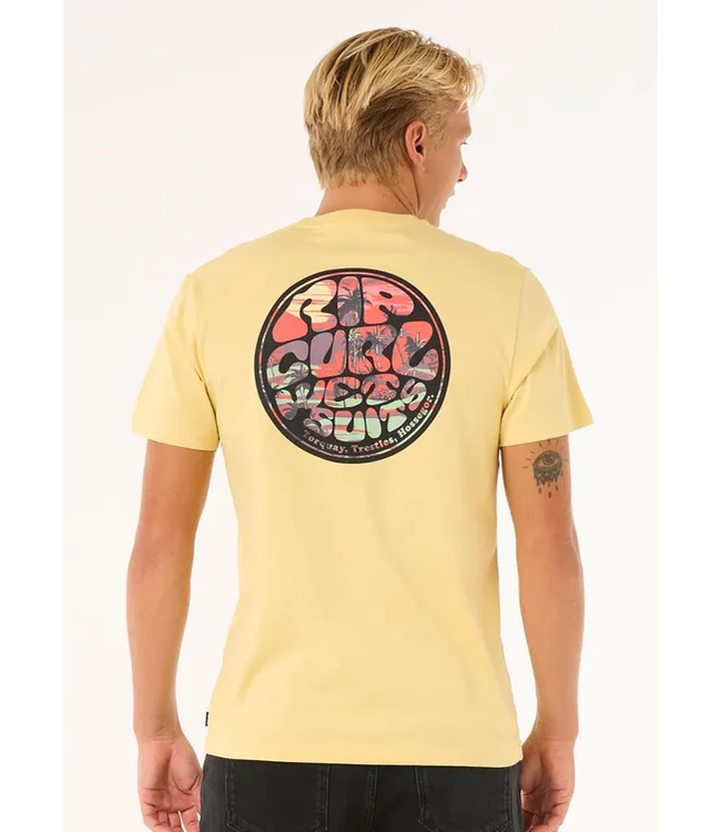 Rip Curl Men's Passage Tee