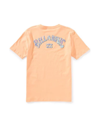 Billabong Billabong  Youth Throwback Tee
