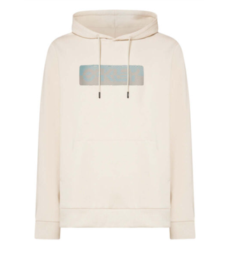 Oakley Oakley Men's Duality B1B Hoodie