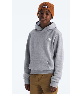 North Face North Face Teen Evolution Print Box Hoodie