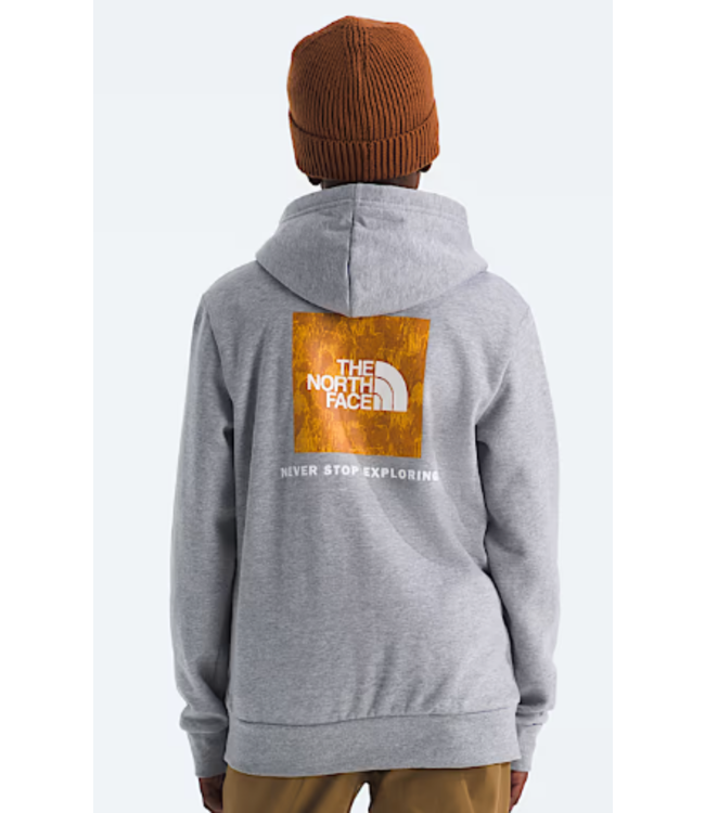 North Face Teen Evolution Print Box Hoodie