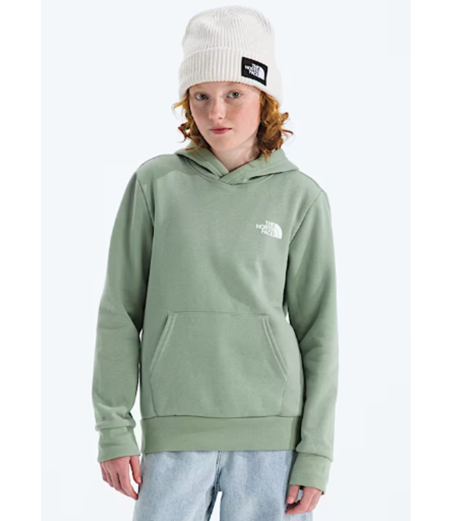 North Face Teen Evolution Print Box Hoodie