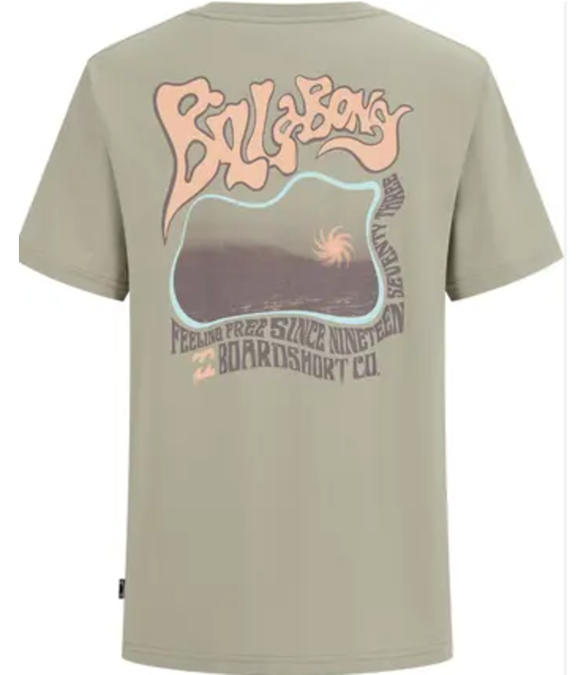 Billabong Boys' Segment Tee